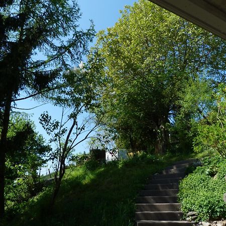 戈德堡住宿加早餐旅馆 Schmerikon 外观 照片
