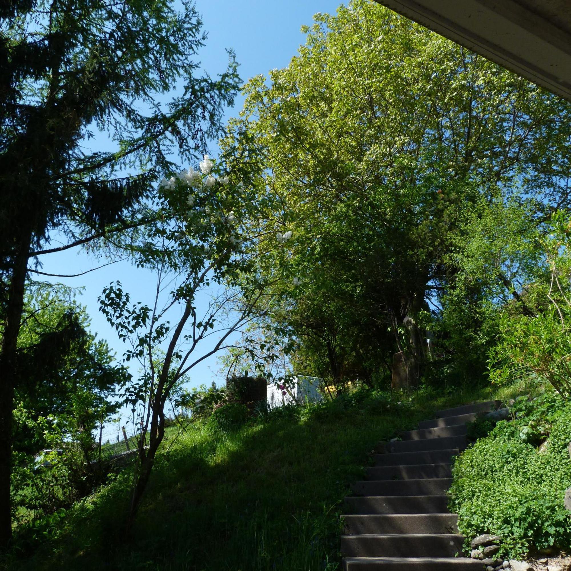 戈德堡住宿加早餐旅馆 Schmerikon 外观 照片